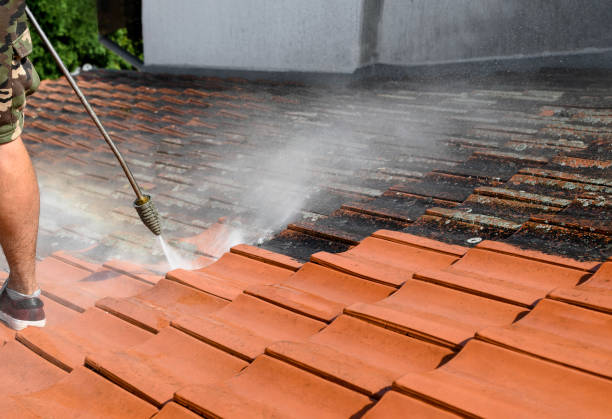 Best Roof Pressure Washing  in Clermont, IN